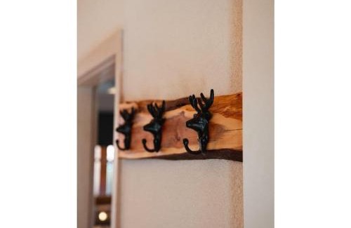 Wittenschwand House | Country house on the Dachsberg