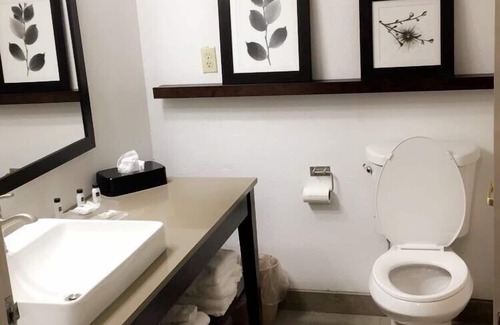 Southport Hotel | Country Inn & Suites by Radisson, Indianapolis South, IN