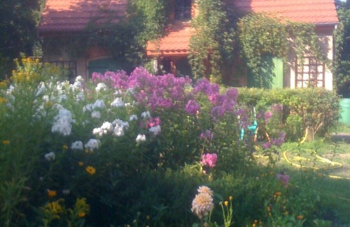 Kleinzerlang House | Country villa with garden, private jetty, rowing boat and sauna