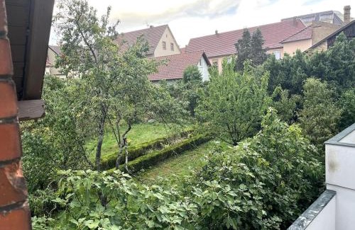 Haguenau House | Coup de coeur en Alsace