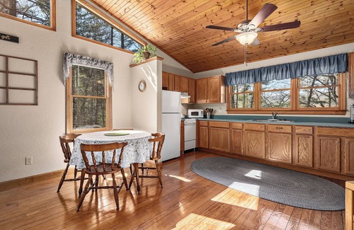 Hot Springs Cabin | Couples Cabin w/King Bed, Wi-Fi, Hot Tub, & Grill in WNC Mtns