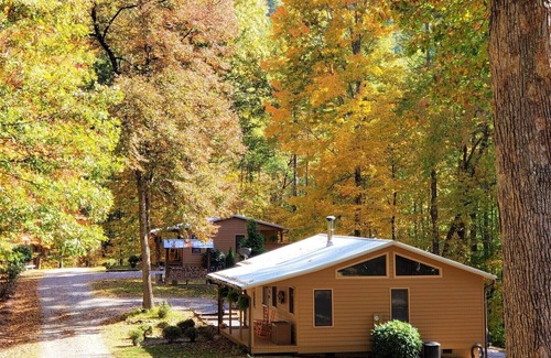 Hot Springs Cabin | Couples Cabin w/King Bed, Wi-Fi, Hot Tub, & Grill in WNC Mtns