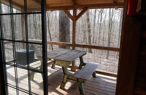 Bismarck Cabin | Couples/Family Secluded Getaway Near Hot Springs-Jacuzzi Overlooking Mountains!