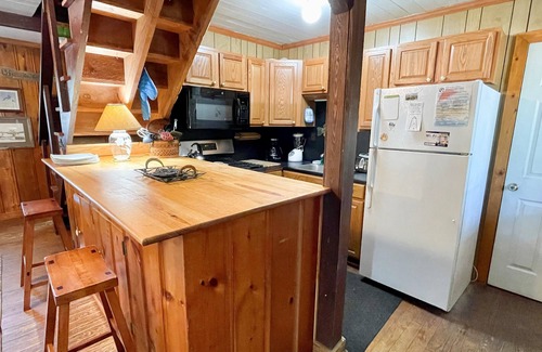 Ocracoke House | Court Jester: Pet friendly, fenced rear yard with deck.