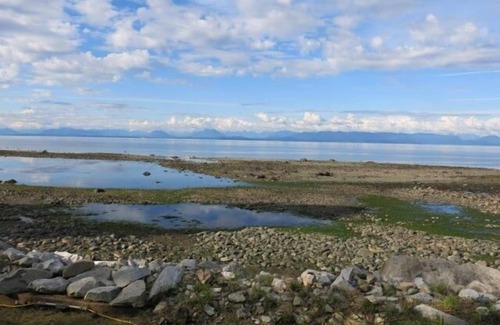 Courtenay Cottage | Courtenay Walk-On Waterfront Cottage (B) At Udina Bay in the Comox Valley