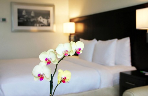 Cerro Viento Hotel | Courtyard by Marriott Panama Metromall
