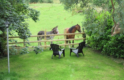 Killarney Cottage | Courtyard cottage overlooking lakes, Killarney.