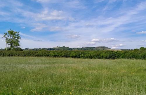 Marshwood House | Cowdea 2