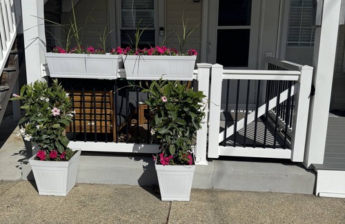 South End Condo | Coziest place on the island! 2br 1.5ba & 1.5 blocks from the beach!