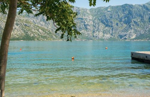 Donji Stoliv Apartment | Cozy 1 bd a stone throw from sea