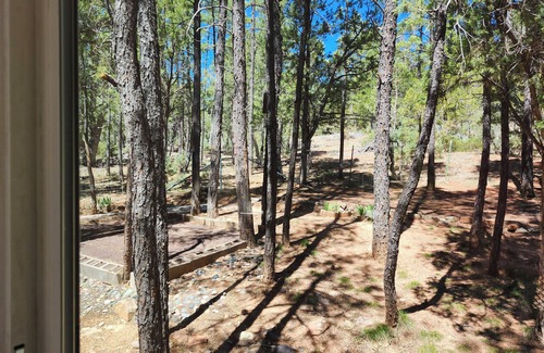 Show Low Cabin | Cozy 1 bd cabin with WiFi and AC in fantastic Show Low