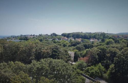 Golden Sands Apartment | Cozy 1 bed with sea view & pool