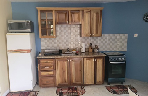 Mandeville Apartment | Cozy 1-bedroom apartment in charming Mandeville with WiFi, AC