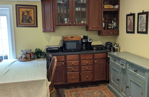 The Plains Apartment | Cozy 1-bedroom apartment with WiFi, AC in awesome Warrenton