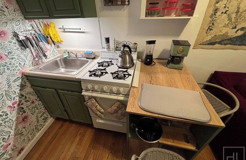 Ukrainian Village Apartment | Cozy 1-bedroom apartment in trendy East Village with WiFi, AC