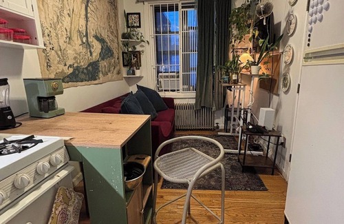 Ukrainian Village Apartment | Cozy 1-bedroom apartment in trendy East Village with WiFi, AC