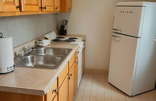 Soulard Apartment | Cozy 1-bedroom apartment with WiFi, AC in charming St. Louis