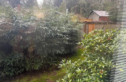 Pinehurst Apartment | Cozy 1-bedroom for rent in pleasant Seattle