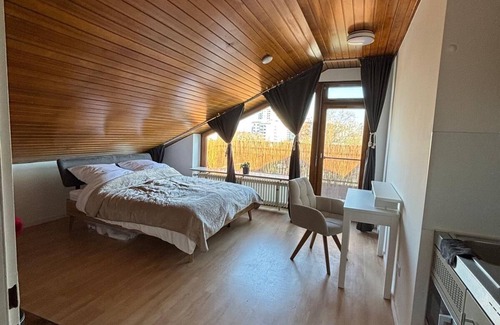 Oststadt Sudlicher Teil Apartment | Cozy 1 room apartment close to University