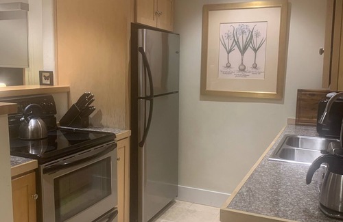 Telluride Condo | Cozy 1BR condo, 5 min walk to town center, ski in, walk to chairlift, fireplace!