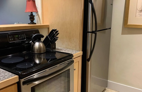 Telluride Condo | Cozy 1BR condo, 5 min walk to town center, ski in, walk to chairlift, fireplace!
