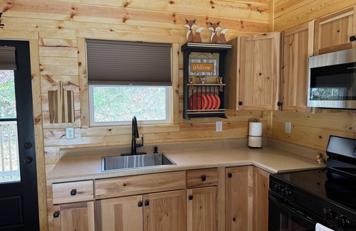 Argillite Cabin | Cozy 2-Bdrm Cabin Fox Den- near Greenbo Lake State Park
