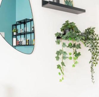 Neuschonefeld Apartment | Cozy 2-Raumwohnung in Zentrumsnähe