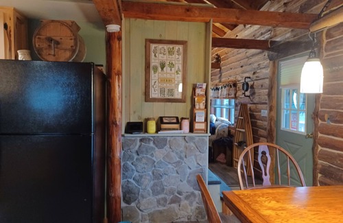 Meredith Cabin | Cozy 3 bedroom Cabin near Cooperstown