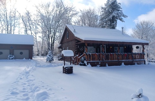 Meredith Cabin | Cozy 3 bedroom Cabin near Cooperstown