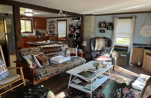 Olmstedville Cabin | Cozy Adirondack Cabin w/Deck [~15 minutes to Gore Mountain]