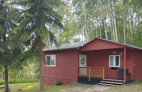Fairbanks Cabin | Cozy Alaskan Cabin, with rare Northern Lights views.