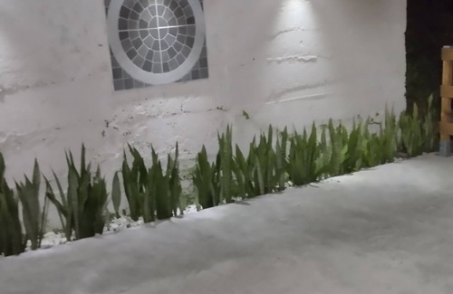 Fontaine de Moutte Apartment | Cozy and charming apartment in Fort-de-France with WiFi, AC
