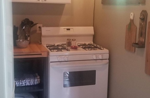 Clear Creek County Cabin | Cozy and quaint pet friendly cabin