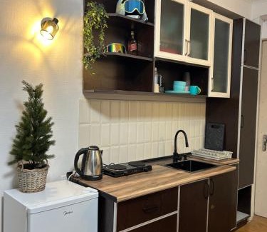Kazbegi Apartment | Cozy and Tiny Nest in Gudauri