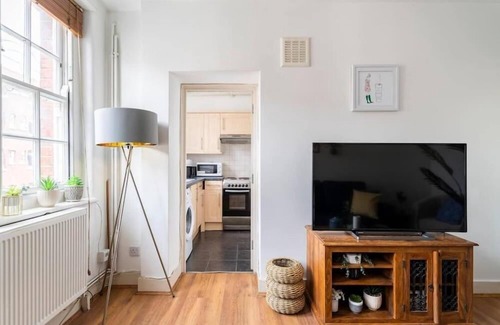 Kings Cross St. Pancras Apartment | Cozy Apartment in Central London - Kings Cross