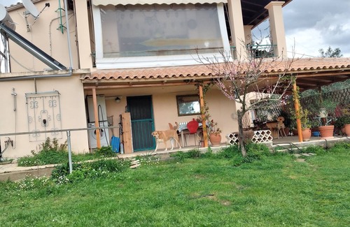 Raches Apartment | Cozy apartment with large property dog-friendly