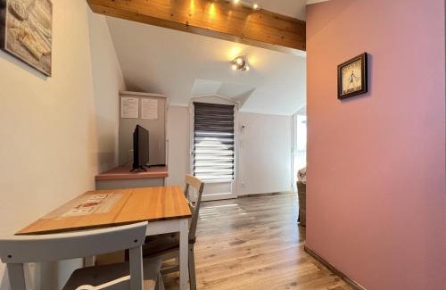 Bonnefoy-Roseraie-Gramont House | Cozy apartment in Toulhouse