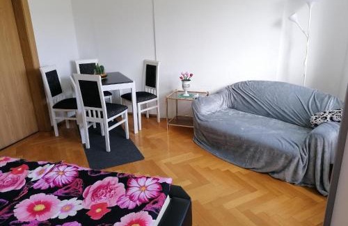 Tannenbergsthal Apartment | Cozy Apartment Near Ski, cleaning included