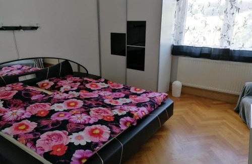 Tannenbergsthal Apartment | Cozy Apartment Near Ski, cleaning included