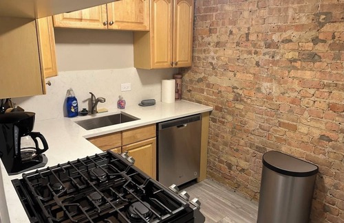 Park West Apartment | Cozy apartment near zoo, DePaul, Oz Park and much more!