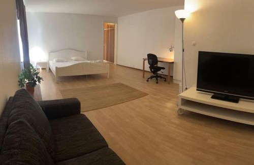 Malung-Salen Municipality Apartment | Cozy apartment