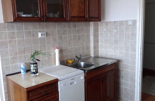 Leskovac Apartment | Cozy apartment with beautiful view on Radan mountain