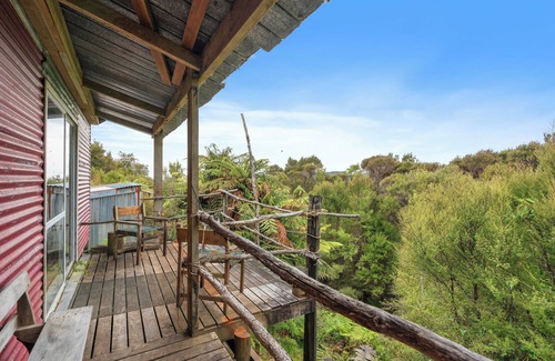 Eketahuna Cabin | Cozy back country hunting cabin. Peace, quiet and miles of bush.