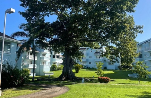 Orange Bay Apartment | Cozy Beachfront Studio apartment, private pool & Beach in Negril, Jamaica. #145