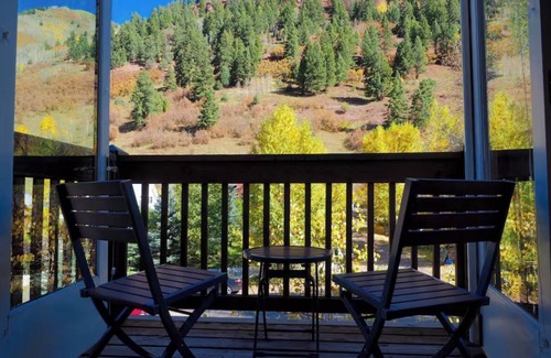 Telluride Condo | Cozy, Bright 1-BR Condo in Telluride