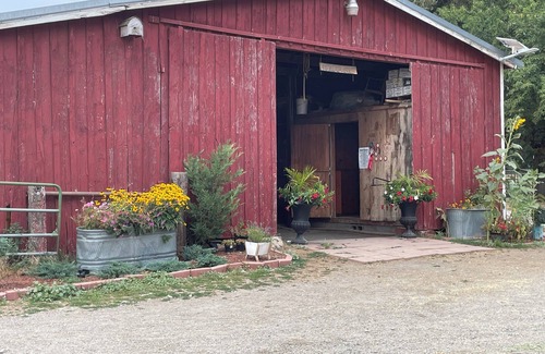 Newman Lake Cabin | Cozy cabin on equestrian center . Near CDA and Spokane .