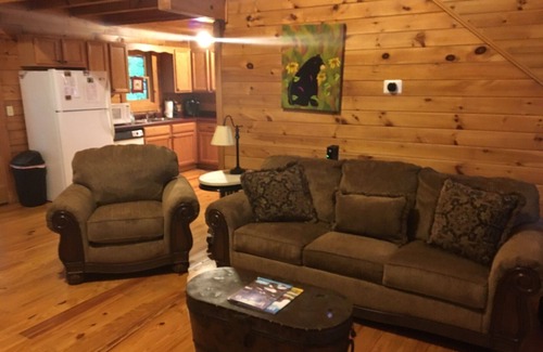 Gatlinburg Cabin | Cozy Cabin - Bear Forest! 2bd/2ba!