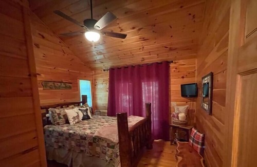 Murphy Cabin | Cozy Cabin Bearadise