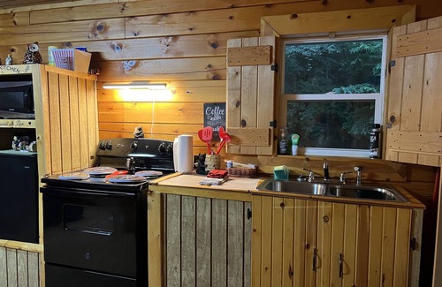 Wellston Cabin | Cozy cabin for two in the woods w Hot tub