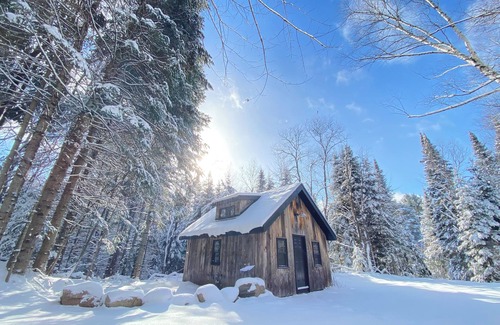 Minden Hills Cabin | Cozy Cabin in Haliburton w/Sauna
